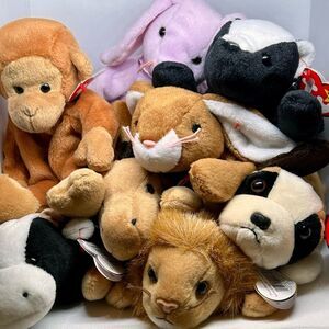 Beanie Babies Buyers choice